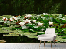 Load image into Gallery viewer, Photo Wallpaper A field full of water lilies
