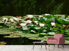 Load image into Gallery viewer, Photo Wallpaper A field full of water lilies
