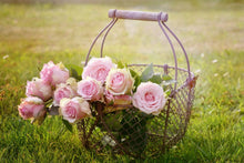 Load image into Gallery viewer, Photo Wallpaper A basket full of roses

