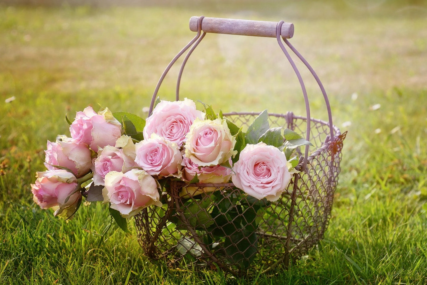 Photo Wallpaper A basket full of roses
