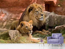 Load image into Gallery viewer, Photo Wallpaper A lion couple
