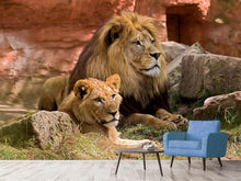 Load image into Gallery viewer, Photo Wallpaper A lion couple
