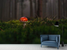 Load image into Gallery viewer, Photo Wallpaper A mushroom in the forest
