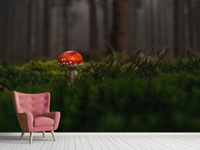 Load image into Gallery viewer, Photo Wallpaper A mushroom in the forest
