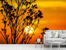 Load image into Gallery viewer, Photo Wallpaper A shrub in the sunset
