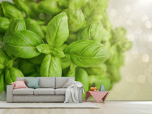 Load image into Gallery viewer, Photo Wallpaper A bouquet of basil
