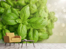 Load image into Gallery viewer, Photo Wallpaper A bouquet of basil
