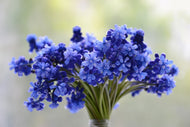 Photo Wallpaper A bouquet of flowers