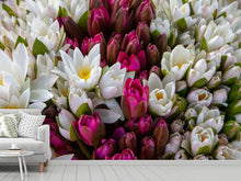 Load image into Gallery viewer, Photo Wallpaper A bouquet of water lilies
