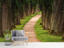 Load image into Gallery viewer, Photo Wallpaper A path in the forest
