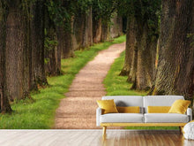 Load image into Gallery viewer, Photo Wallpaper A path in the forest

