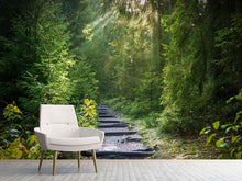 Load image into Gallery viewer, Photo Wallpaper A path between firs
