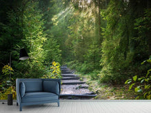 Load image into Gallery viewer, Photo Wallpaper A path between firs
