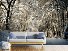 Load image into Gallery viewer, Photo Wallpaper A winter dream
