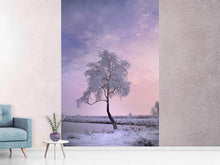 Load image into Gallery viewer, Photo Wallpaper A winter tree
