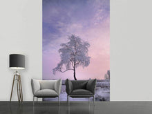 Load image into Gallery viewer, Photo Wallpaper A winter tree
