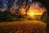 Photo Wallpaper A landscape in the sunset