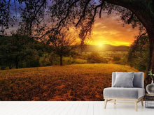 Load image into Gallery viewer, Photo Wallpaper A landscape in the sunset
