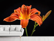 Load image into Gallery viewer, Photo Wallpaper A lily flower in orange
