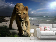 Load image into Gallery viewer, Photo Wallpaper A lioness on the beach
