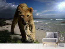 Load image into Gallery viewer, Photo Wallpaper A lioness on the beach
