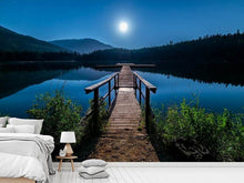 Load image into Gallery viewer, Photo Wallpaper One night at full moon
