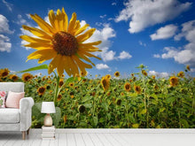 Load image into Gallery viewer, Photo Wallpaper A sunflower among many
