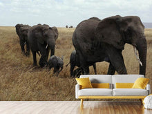 Load image into Gallery viewer, Photo Wallpaper Elephant family
