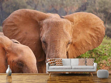 Load image into Gallery viewer, Photo Wallpaper Elephant ears
