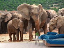 Load image into Gallery viewer, Photo Wallpaper Elephant herd in Africa
