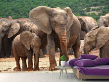 Load image into Gallery viewer, Photo Wallpaper Elephant herd in Africa
