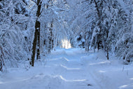 Photo Wallpaper Finally winter