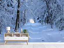 Load image into Gallery viewer, Photo Wallpaper Finally winter
