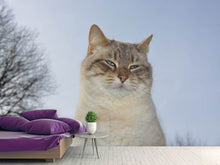 Load image into Gallery viewer, Photo Wallpaper Relaxed cat in the nature
