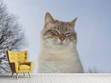 Load image into Gallery viewer, Photo Wallpaper Relaxed cat in the nature
