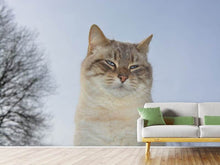 Load image into Gallery viewer, Photo Wallpaper Relaxed cat in the nature
