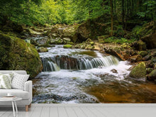 Load image into Gallery viewer, Photo Wallpaper Relaxation at the waterfall 2
