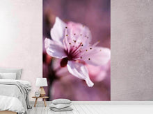 Load image into Gallery viewer, Photo Wallpaper Adorable cherry blossom
