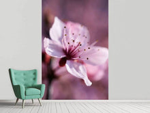 Load image into Gallery viewer, Photo Wallpaper Adorable cherry blossom
