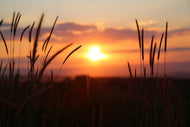 Photo Wallpaper Adorable sunset