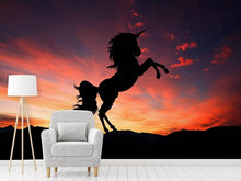 Load image into Gallery viewer, Photo Wallpaper mythical creatures
