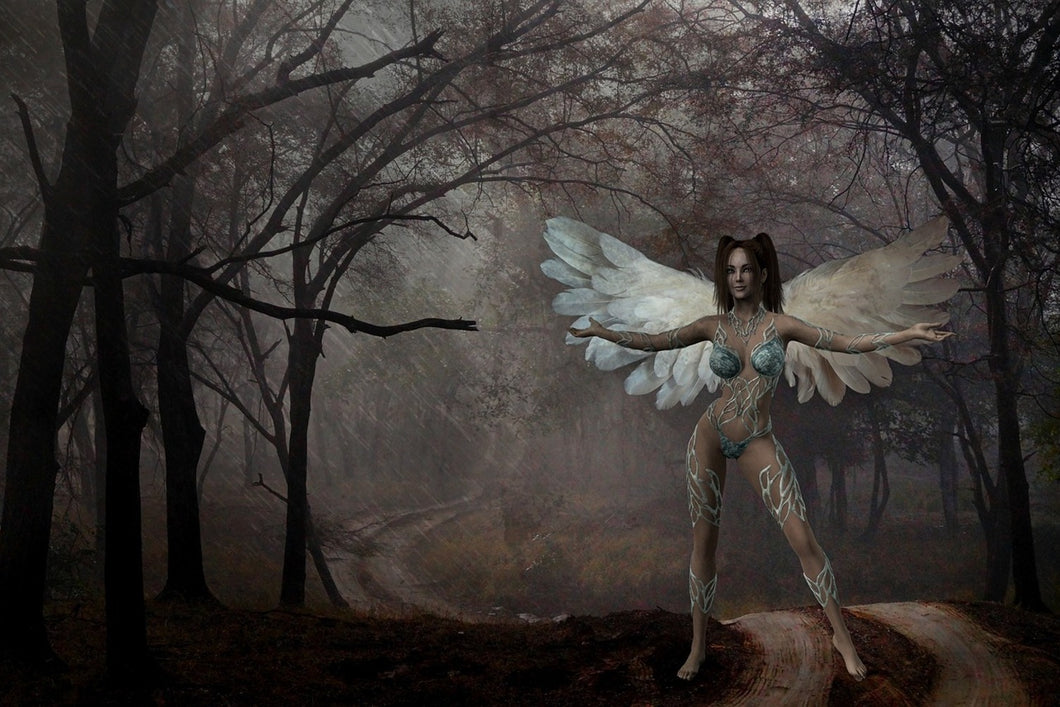 Photo Wallpaper Fantasy in the forest