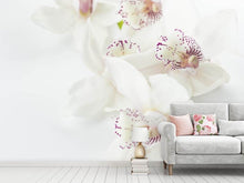 Load image into Gallery viewer, Photo Wallpaper Fantastic orchids
