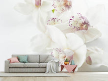 Load image into Gallery viewer, Photo Wallpaper Fantastic orchids
