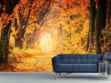 Load image into Gallery viewer, Photo Wallpaper Colors magnificent forest
