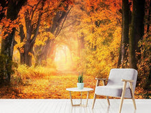 Load image into Gallery viewer, Photo Wallpaper Colors magnificent forest
