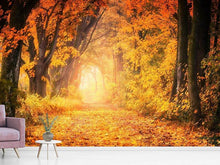 Load image into Gallery viewer, Photo Wallpaper Colors magnificent forest
