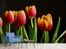 Load image into Gallery viewer, Photo Wallpaper Colorful tulips
