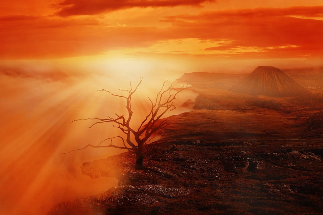 Photo Wallpaper Colorful landscape