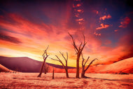 Photo Wallpaper Colorful desert